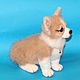 felted Welsh Corgi 'chick'. Felted Toy. Anna Petinati- Live toys handmade. My Livemaster. Фото №5
