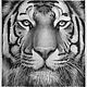 Portrait of a tiger, paper, pencil, 40h40. Pictures. vestnikova. Online shopping on My Livemaster.  Фото №2