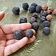 Неочищенная рудракша. Бусины. Gems for Art (Indianstones). Ярмарка Мастеров.  Фото №8