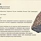 Змеевик. Бусы-чокер. Бусы. DenSi-Stone-Store (Denis Simiohin). Ярмарка Мастеров.  Фото №8