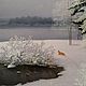 The author's picture of Winter silence. ( Vladimir Tarasov). Pictures. Vladimir Tarasov. My Livemaster. Фото №6