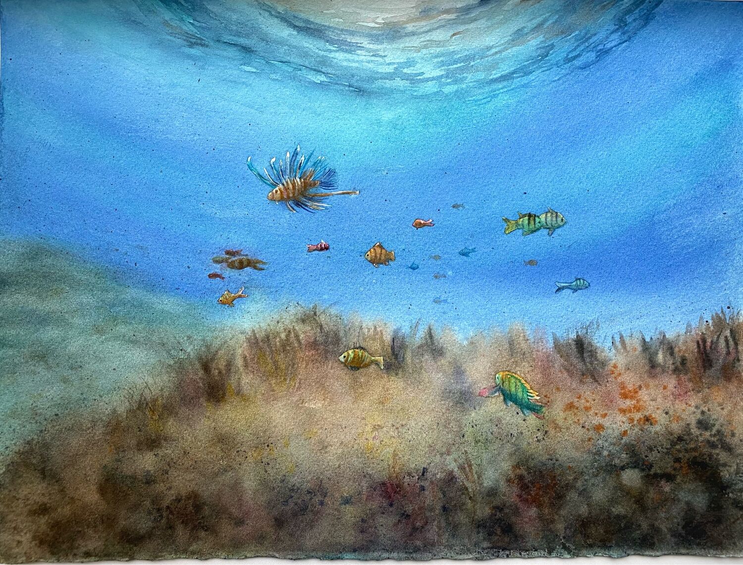 Подводный мир картины маслом