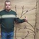 Шпалера из металла кованая. Арки садовые. ремесленник Кузьма. Ярмарка Мастеров.  Фото №6