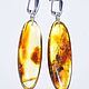 Order Long earrings with natural amber. podaro4ek22. Livemaster. . Earrings Фото №3