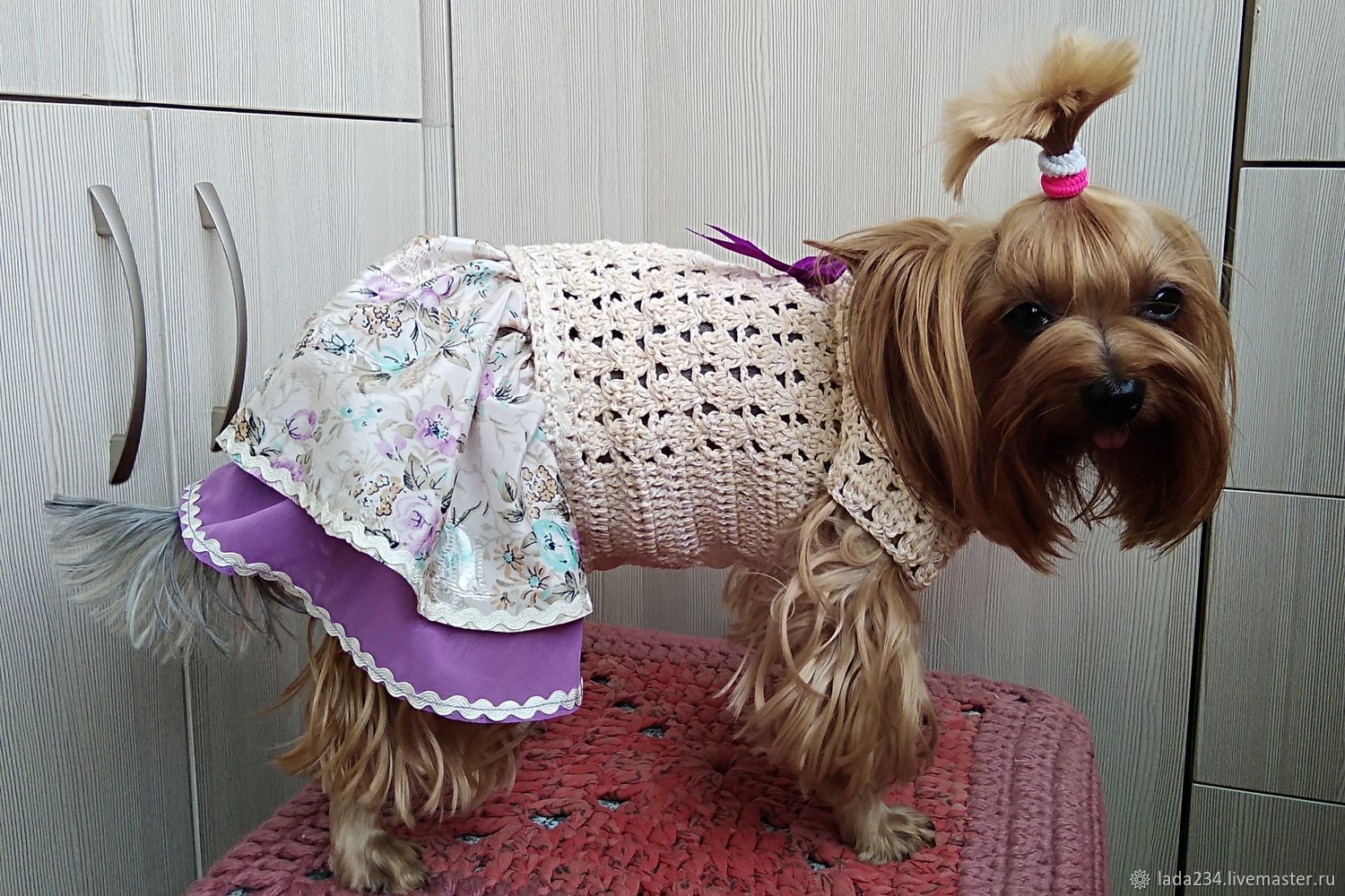 Вязаные платья для собак