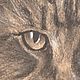 Заказать  "Портрет кота" - рисунок пастелью. Картины LanArt. Ярмарка Мастеров. . Картины Фото №3