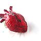 Анатомическое сердце в реальную величину. Сувениры по профессиям. Anatomical heart (anatomicalheart). Ярмарка Мастеров.  Фото №4
