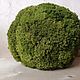 Ball of stabilized moss. Topiary. Антонина Литовкина - Озеленение (Планета Флористики). Online shopping on My Livemaster.  Фото №2