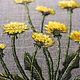 Embroidered stitch pattern 'Yellow dandelions', Pictures, Novorossiysk,  Фото №1