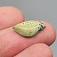 2.24 Ct, Old Stock! Казахстанская Бирюза Freakenfru кабошон. Кабошоны. Дмитрий Данилов КАБОШОНЫ  Freakenfru. Интернет-магазин Ярмарка Мастеров.  Фото №2