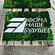 Логотип из мха. Фитокартины. Green.Box. Интернет-магазин Ярмарка Мастеров.  Фото №2