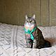 Кошка. Мягкая подвижная игрушка на заказ по фото кошки, кота. Мягкие игрушки. Игрушки на заказ по фото питомцев.. Интернет-магазин Ярмарка Мастеров.  Фото №2