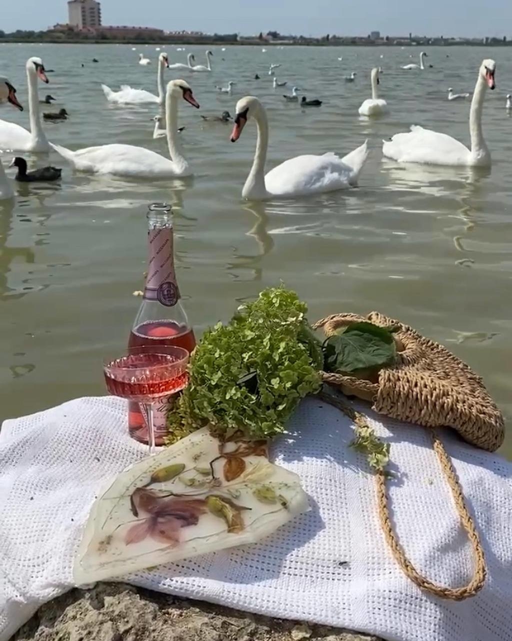 Пикник 