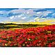 Painting poppy field, oil painting poppies - oil on canvas, Pictures, Belgorod,  Фото №1