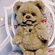 Мишка Тедди Лия. Мишки Тедди. Art dolls toys. Ярмарка Мастеров.  Фото №6