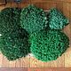Order Royal moss moss stabilized (0,5 kg) from the manufacturer. Антонина Литовкина - Озеленение (Планета Флористики). Livemaster. . Natural materials Фото №3