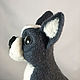 felt toy: Boston Terrier Fill. Felted Toy. colorlight (colorlight). My Livemaster. Фото №4
