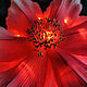 'Scarlet flower' in pink. Nightlights. Elena Krasilnikova. My Livemaster. Фото №5