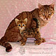 Order Boniface kitten, Bengal cat, cat - toy, felted out of wool. Woolen Zoo. Livemaster. . Felted Toy Фото №3