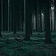  Ощущая тьму, 3 мл. Духи. Wild Mystery Perfumes. Ярмарка Мастеров.  Фото №5