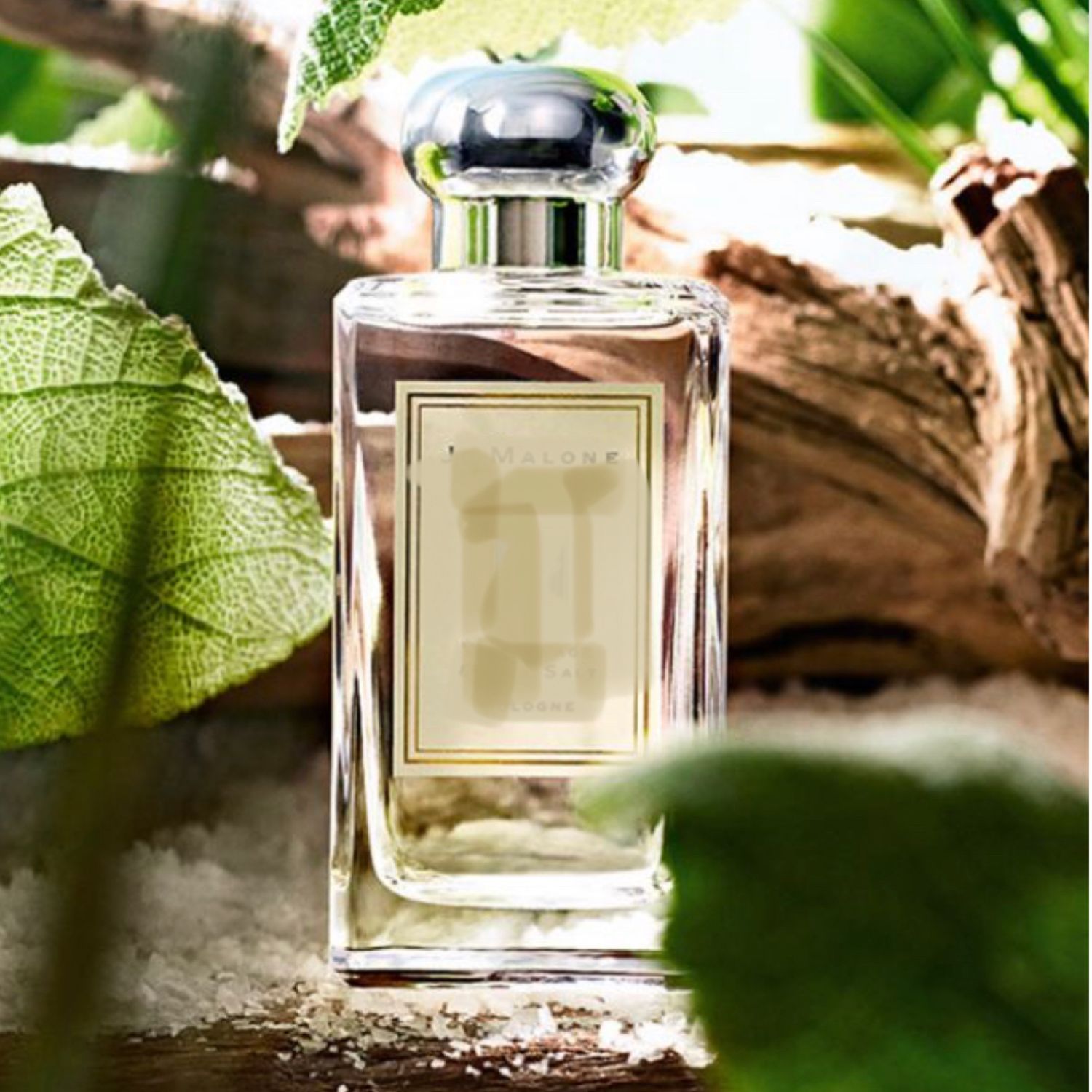 Jo malone wood sage sea