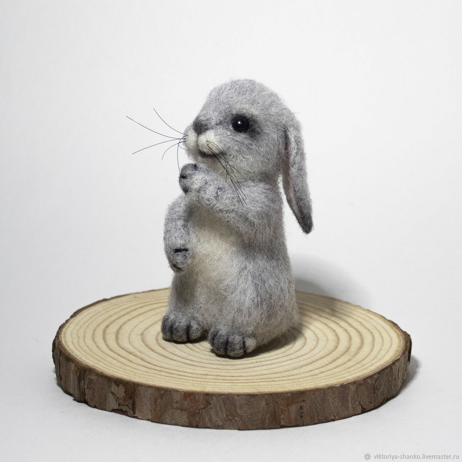 Застенчивый кролик. Застенчивый зайчик. Стеснительная зайчиха. Застенчивый кролик грызун. Пугливый зайчик.