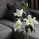 Белые лилии из холодного фарфора, Букеты, Москва,  Фото №1