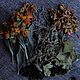 Укрепляющий успокаивающий чай "Сила духа". Наборы чая и кофе. Super-Natural (Анна). Интернет-магазин Ярмарка Мастеров.  Фото №2