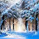 Order Landscape oil painting Winter in blue by Vladimir Chernov. VladimirChernov (LiveEtude). Livemaster. . Pictures Фото №3