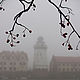Фотография Туманная осень, , Калининград,  Фото №1