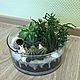 Флорариум "Тропики мини" арт.004. Флорариумы. Florariumstyle. Ярмарка Мастеров.  Фото №6