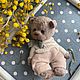 Мишка Тедди игрушка Антоша. Мишки Тедди. Besfamilnaya Olya Мишки тедди  (magic-decor). Интернет-магазин Ярмарка Мастеров.  Фото №2