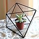 Order The Floriana, octahedron, vase for Floriana. Glass Flowers. Livemaster. . Pots1 Фото №3