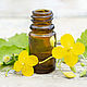 Celandine oil (extract), Massage Oil, ,  Фото №1
