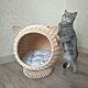 Плетёный домик для кошки или маленькой собачки. Домик для питомца. *BasketStore*. Ярмарка Мастеров.  Фото №6