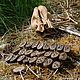 Rune set on oak wood dies