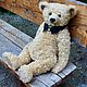 Заказать Bear. Светлана Прокопьева. Ярмарка Мастеров. . Мишки Тедди Фото №3