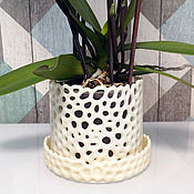 Горшок для орхидеи: Voronoi шар 16