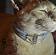 Collar for cats , Dog - Collars, Novosibirsk,  Фото №1