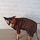 Cat Clothes Warm Jumpsuit - 'Abstraction', Pet clothes, Biisk,  Фото №1