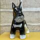 Miniature Schnauzer, black and silver: the author's statuette. Figurines. Creative workshop Cheerful porcelain. Online shopping on My Livemaster.  Фото №2