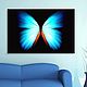 Luminous butterfly, Pictures, St. Petersburg,  Фото №1