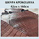 Crocodile skin brown IN STOCK, Leather, Krasnodar,  Фото №1