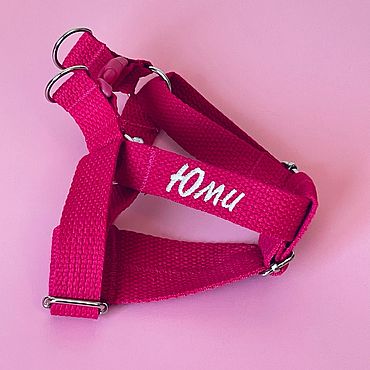 Зоотовары ручной работы. Ярмарка Мастеров - ручная работа Шлейка адресник. Handmade.