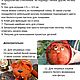 Мастер-класс Кот / тигр. Игрушка-подушка. Мастер-классы. Трогательные вещи. Ярмарка Мастеров.  Фото №5
