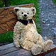 Bear. Мишки Тедди. Светлана Прокопьева. Ярмарка Мастеров.  Фото №6
