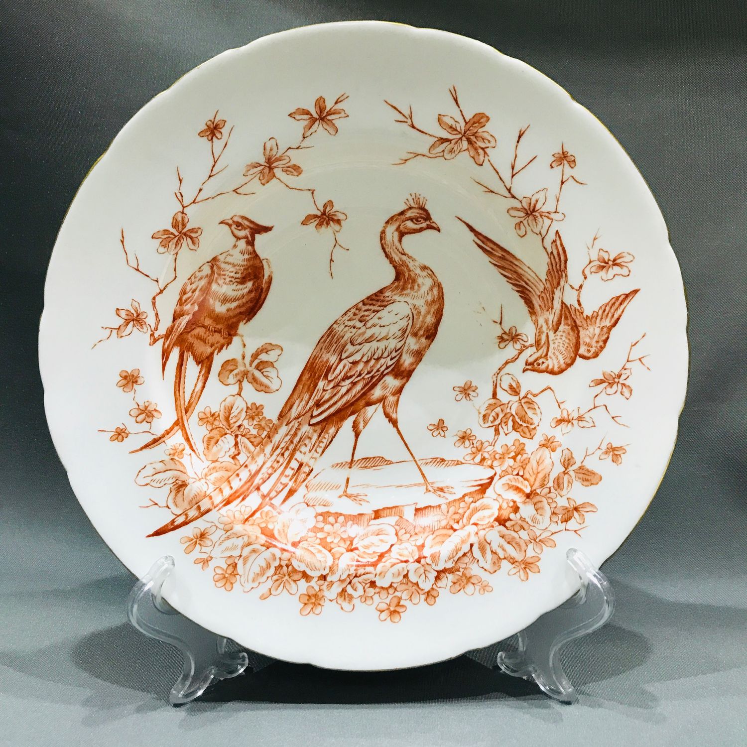 Тарелки костяной фарфор. Костяной фарфор Феликс Павлин. Royal Crown фарфор. Rosenthal Studio-line тарелка с павлином. Тарелка Павлин Винтаж.