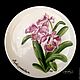 Painted porcelain Plate Orchid Collection. Plates. ArtFlera (artflera). My Livemaster. Фото №5