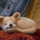 Order Dog. Fulled (felted) a brooch, a toy made of wool. Lilija Gracheva. Wool House. toys.. Livemaster. . Brooches Фото №3