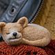 Заказать Собачка. Валяная (войлочная) брошь, игрушка из шерсти. Шерстяной теремок (Лилия Грачева). Ярмарка Мастеров. . Брошь-булавка Фото №3
